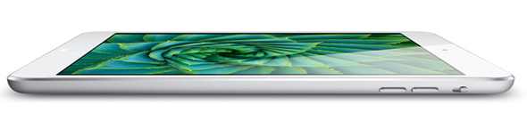 iPad Mini Ecran