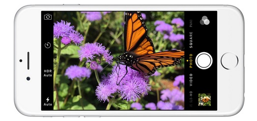 Camera iPhone 6